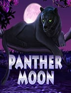 รีวิว สล็อต โจ๊ก เกอร์ 48 เล่นง่าย กำไรดี