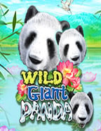 รีวิวสล็อต เค ดิ ต ฟรี: โอกาสทองสำหรับนักปั่น